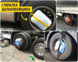 Смешные и познавательные картинки