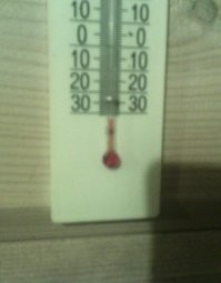 Ага. Весна. Подснежники. 
Север Подмосковья. Прошлой ночью -34 было.