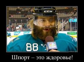 Смешные и познавательные картинки