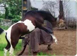 Рисковые девчата...