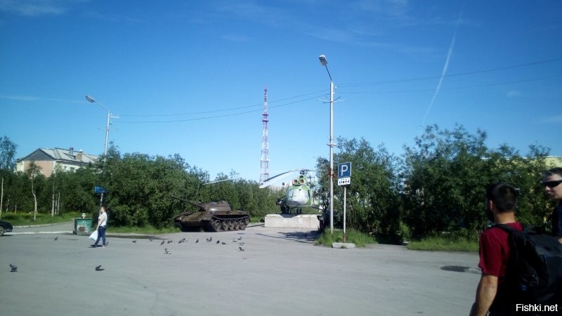 Смешные и познавательные картинки