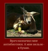 ЗОЖ: так выглядит отчаяние