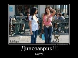 Скрины из соцсетей