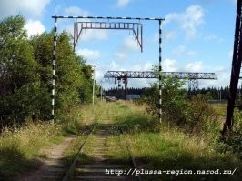 Нам привычнее такие габаритные ворота.