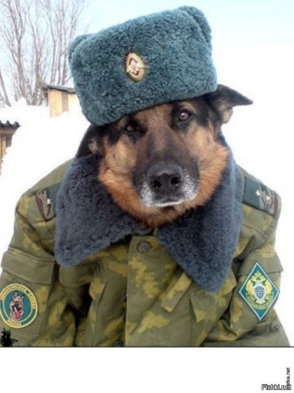 Специально для Джен:
