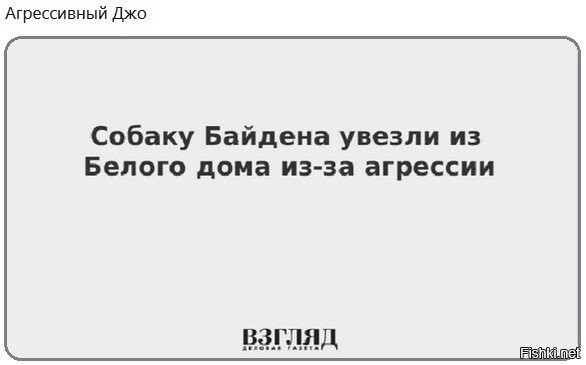 Первый раз вижу, чтобы живого президента называли собакой
