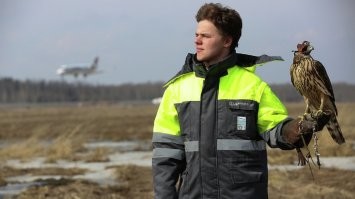 Когда нельзя снимать на дрон, но очень хочется