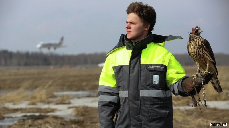 Когда нельзя снимать на дрон, но очень хочется