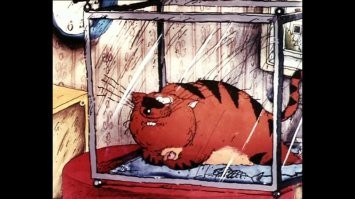 Смешные и познавательные картинки