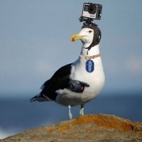 Тоже вариант