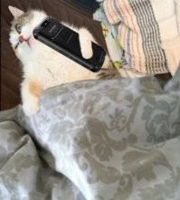 А это я...