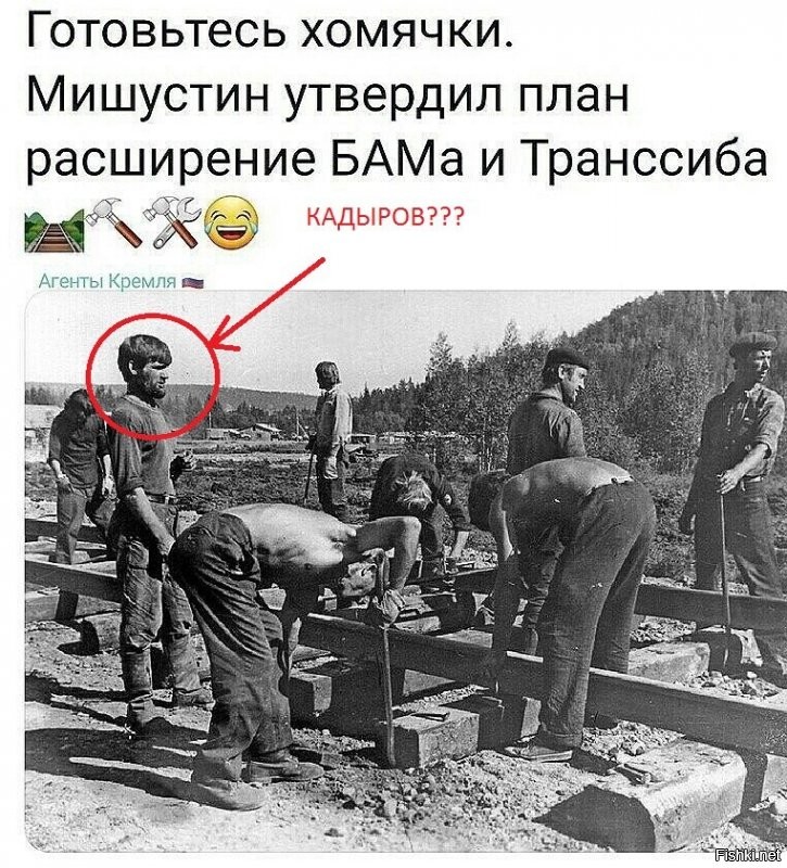 Кадыров???