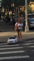 а судя по коленкам дамочки, она ее отработала, а не собака!
