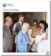 Смешные и познавательные картинки