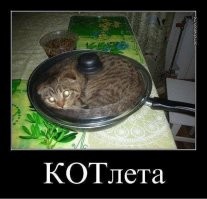 Скрины из соцсетей