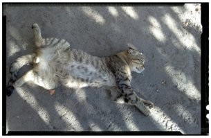 А я думал мой не от мира сего,а тут....