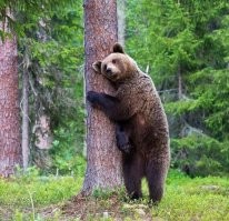 Ну зачем я так вчера набрался...