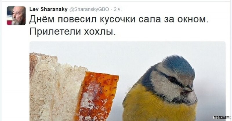 В стране перманентной вымоги подтрымок