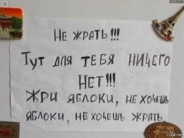 В шутку и всерьез о лишнем весе и диете