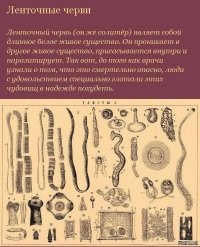 В шутку и всерьез о лишнем весе и диете