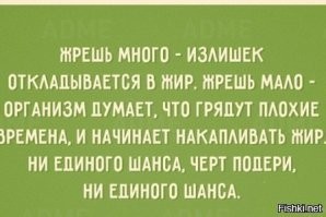 В шутку и всерьез о лишнем весе и диете