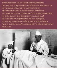 В шутку и всерьез о лишнем весе и диете