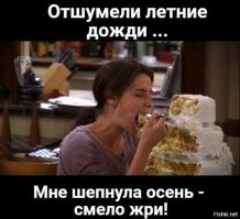 В шутку и всерьез о лишнем весе и диете