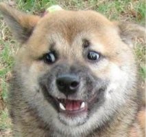 Пельмень!!! Идеально!!!