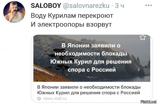Как они собираются осуществлять блокаду, если Охотское море - внутреннее российское? Скорее, мы им можем устроить там блокаду, будут ползать только вдоль своего берега в 12-мильной зоне.