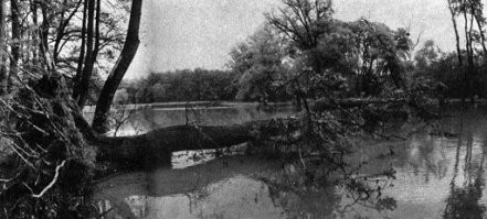 На такой- точно нет...