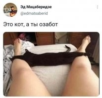 Ну действительно,покажи свою киску, жалко что ли?