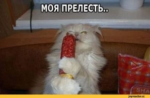 Полиция раскрыла старое преступление благодаря колбасе