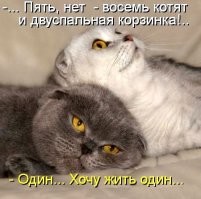 Бывает и по-другому...))