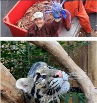 Котейка хочет краба. ))