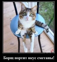 Смешные и познавательные картинки