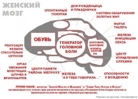 Смешные и познавательные картинки