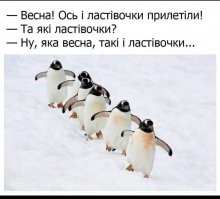 Смешные и познавательные картинки