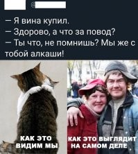 Алкопост на вечер этой пятницы