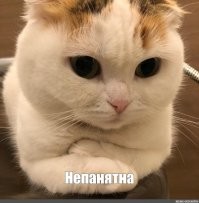 Это котики на мемах так разговаривают.