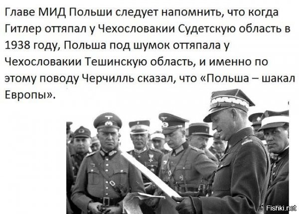 НАТО берется за расширение состава сухопутных  войск Польши