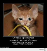 Конкурирующая фирма "Мяутелеком".