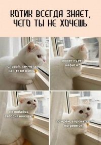 Веселые интересные картинки