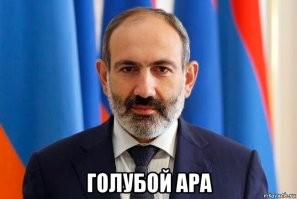 Голубой ара: Уничтожен человеком, но может спастись только благодаря ему. Как живёт птица из мультика «Рио»?