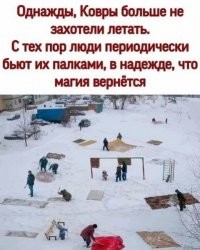 Смешные и познавательные картинки
