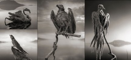 Типа как на Натроне? Куяк - и закаменела