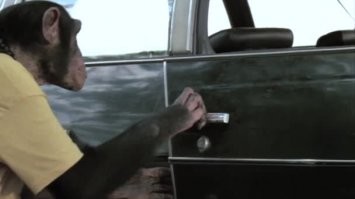 Вооруженный угонщик не смог завладеть автомобилем Tesla из-за необычных дверных ручек