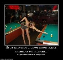 Смешные и познавательные картинки