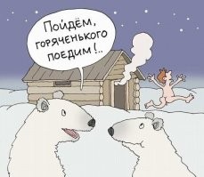 В Румынии медведь устроил погоню за горнолыжником