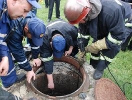 Порноактриса разместила в Твиттере объявление о поиске мужа и удивилась ажиотажу