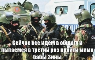 Смешные и познавательные картинки